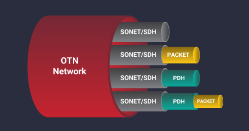 OTN 网络